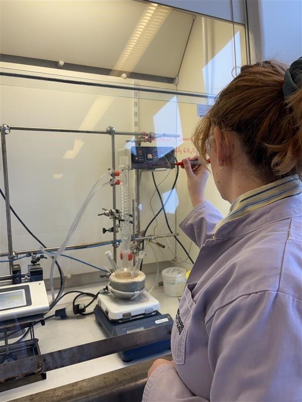 Synthesis trip to Copenhagen